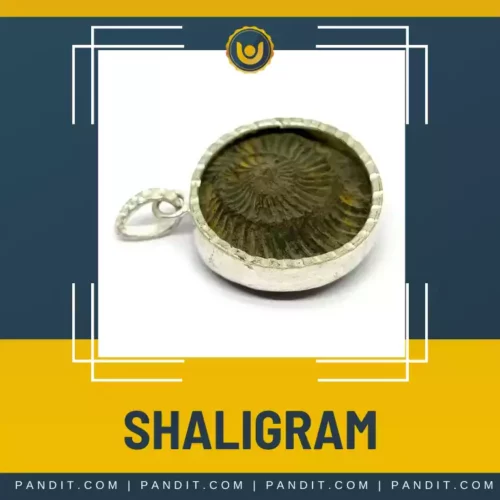 Shaligram